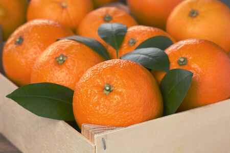 Fresh orange fruits in a box with copyspaceの写真素材