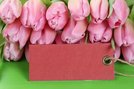 Tulips flowers in spring, birthday or mother's day with empty tag and copyspace for your own textの写真素材