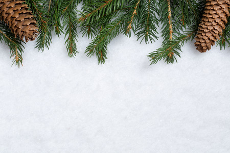 Christmas background decoration with fir branches, cones and snow