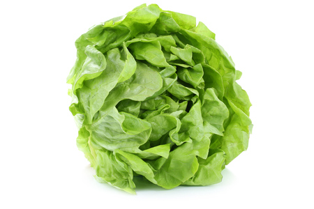 Head cabbage lettuce organic vegetable isolated on a white backgroundの写真素材