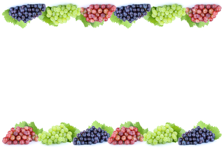 Grapes red green blue fruits fruit isolated on a white background copyspace copy spaceの写真素材