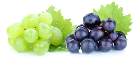 Grapes blue green fruits isolated on a white backgroundの写真素材