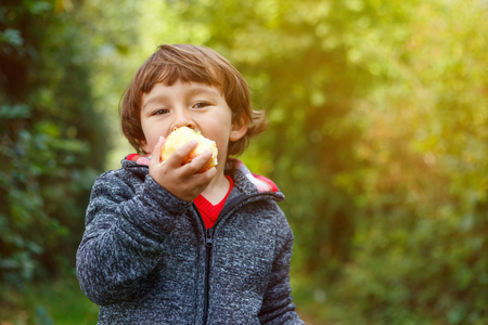 Little boy child kid eating apple fruit autumn fall copyspace garden nature outdoorsの写真素材