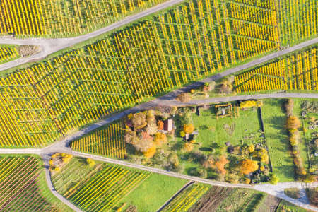 Vineyards wine autumn fall season nature aerial photo view in Germanyの写真素材