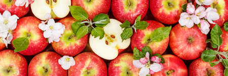 Apples fruits red apple fruit background banner with leaves and blossoms food