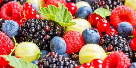 Berries fruits berry fruit strawberries strawberry blueberries blueberry panorama summerの写真素材