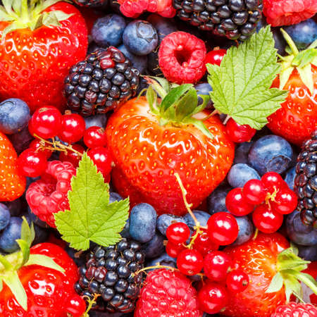 Berries fruits berry fruit strawberries strawberry blueberries blueberry square background from aboveの写真素材