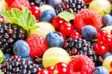 Berries fruits berry fruit strawberries strawberry blueberries blueberry summerの写真素材