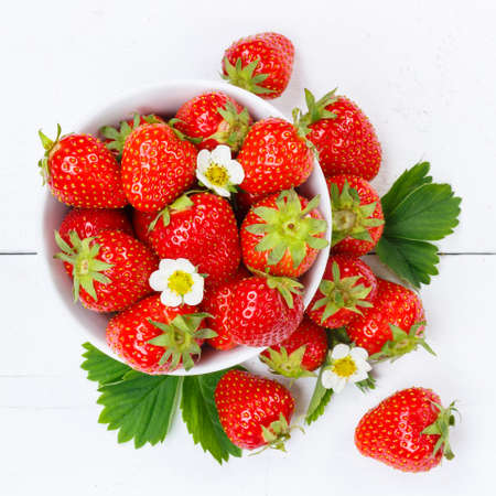 Strawberries berries fruits strawberry berry fruit square in a bowl summerの写真素材