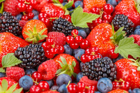 Berries fruits berry fruit strawberries strawberry blueberries blueberry summerの写真素材
