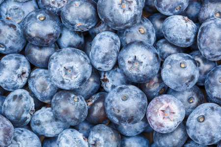 Blueberries berries fruits blueberry berry bilberry bilberries fruit background summerの写真素材