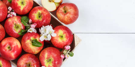 Apples fruits red apple fruit with leaves from above with copyspace copy space on a wooden board panorama top viewの写真素材