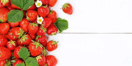 Strawberries berries fruits strawberry berry fruit with copyspace copy space on a wooden board panorama summerの写真素材