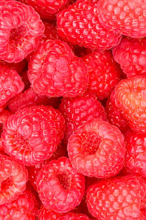 Raspberry berry raspberries berries fruits fruit background portrait format from aboveの写真素材