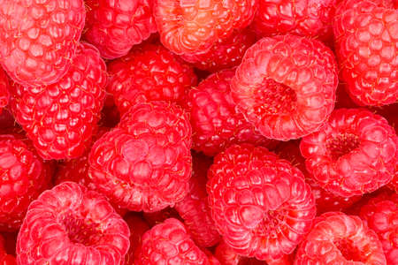 Raspberry berry raspberries berries fruits fruit background from aboveの写真素材