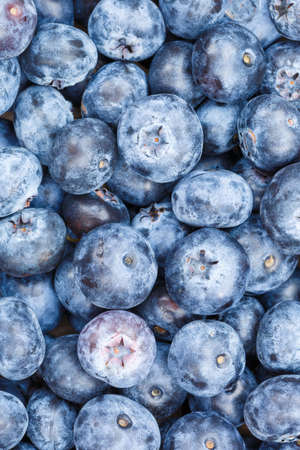 Blueberries berries fruits blueberry berry bilberry bilberries fruit background portrait format summerの写真素材