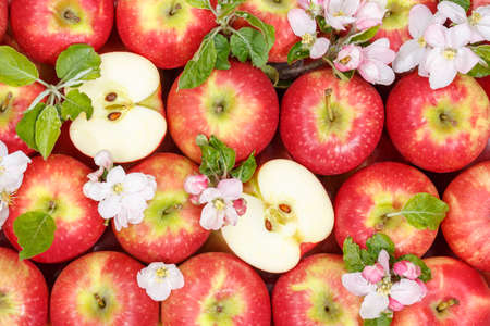 Apples fruits red apple fruit with leaves from above top viewの写真素材
