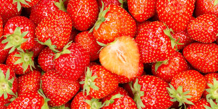 Strawberries berries fruits strawberry berry fruit panorama from above freshの写真素材