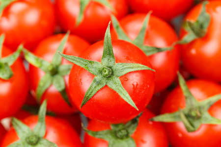 Tomato tomatoes tomatoes vegetable vegetables from above top viewの写真素材