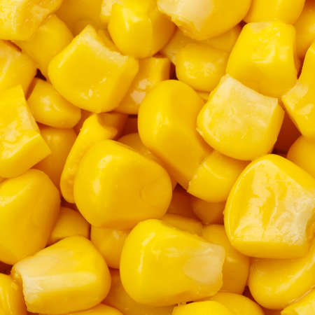 Corn background vegetable vegetables from above square top viewの写真素材