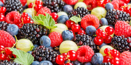 Berries fruits berry fruit strawberries strawberry blueberries blueberry panorama summerの写真素材