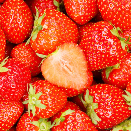 Strawberries berries fruits strawberry berry fruit from above square freshの写真素材