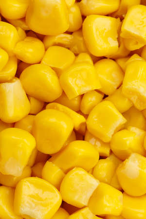 Corn background vegetable vegetables from above portrait format top viewの写真素材