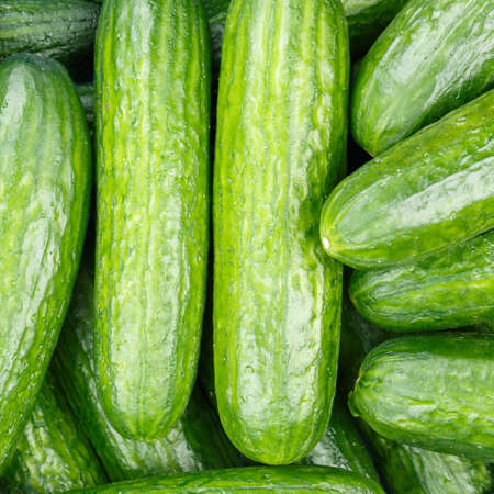 Cucumber cucumbers background vegetable vegetables from above square top viewの写真素材