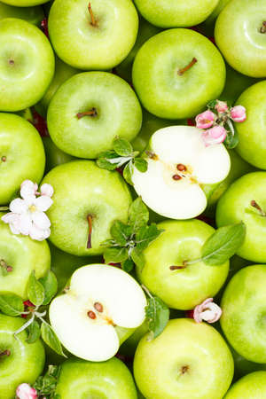 Apples fruits green apple fruit background with leaves and blossoms portrait format organicの写真素材