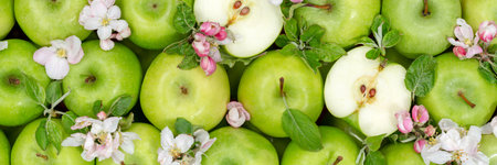Apples fruits green apple fruit background with leaves and blossoms panorama organicの写真素材