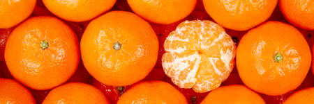 Mandarin tangerine clementine fruits mandarins tangerines clementines fruit background from above panorama top viewの写真素材