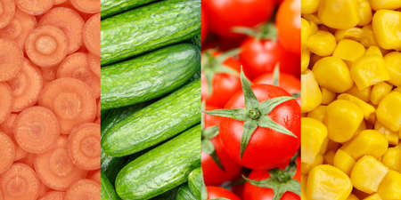 Collection of vegetables vegetable collage background with tomatoes tomato fresh carrots carrot vitaminsの写真素材