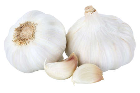 Garlic healthy spice vegan vegetable isolated on a white backgroundの写真素材