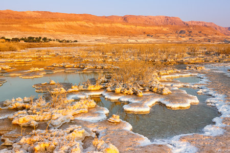 Dead Sea Israel salt islands sunrise morning landscape nature vacation holidaysの写真素材