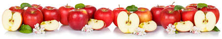 Red apple fruits apples fruit collection collage isolated on a white background in a rowの写真素材