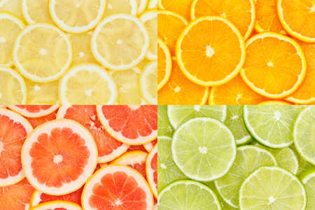 Citrus fruits oranges lemons food background collection collage set fruit backgroundsの写真素材