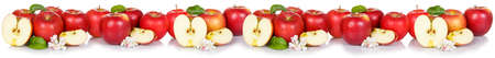 Red apple fruits apples fruit banner collage isolated on a white background in a rowの写真素材