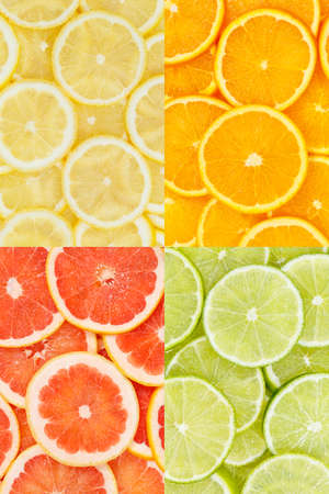 Citrus fruits oranges lemons food background portrait format collection collage set fruit backgroundsの写真素材
