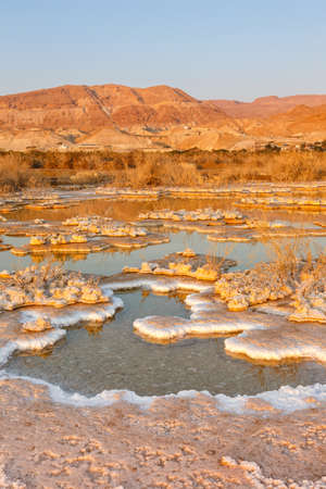Sunrise at Dead Sea Israel landscape salt portrait format morning nature vacationの写真素材