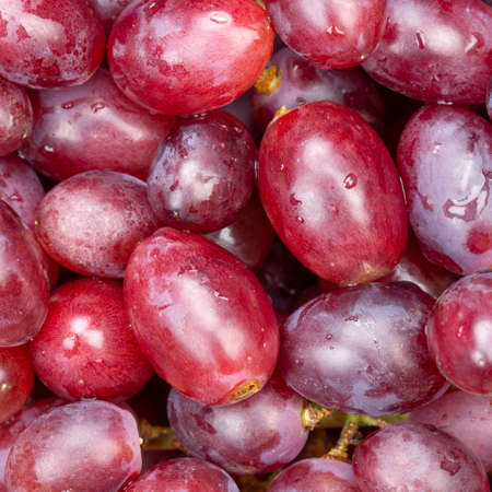 Red grapes grape fruits fruit background from above square freshの写真素材
