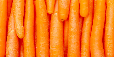 Carrots carrot background vegetable vegetables from above panorama freshの写真素材