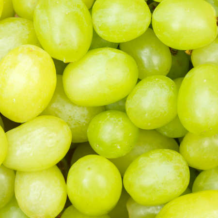 Green grapes grape fruits fruit background from above square freshの写真素材