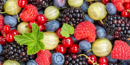 Berries fruits berry fruit strawberries strawberry blueberries blueberry from above panorama freshの写真素材
