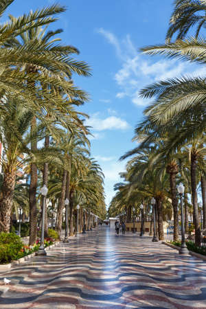 Alicante Alacant town city boulevard Esplanada d'Espanya with palms palm travel traveling holidays vacation portrait format in Spainの写真素材