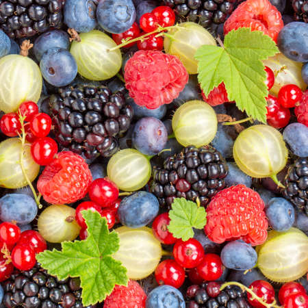 Berries fruits berry fruit strawberries strawberry blueberries blueberry from above square freshの写真素材