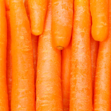 Carrots carrot background vegetable vegetables from above square freshの写真素材