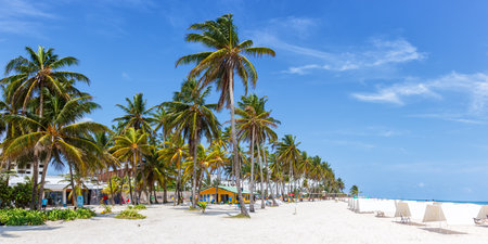Playa Spratt Bight beach travel with palms palm vacation panorama sea on island San Andres in Colombiaの写真素材