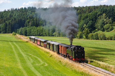 Ãchsle steam train locomotive railway rail near Ochsenhausen Wennedach in Germanyのeditorial素材