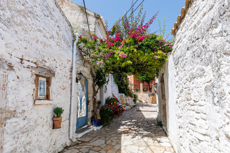 Alley decorated with flowers in the picturesque village of Afionas vacation on the island of Corfu in Greeceの写真素材