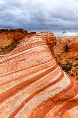 Red sandstone rock formation Fire Wave inside Valley of Fire State Park portrait format travel in Nevada in the United Statesの写真素材